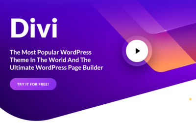 10 bonnes raisons de choisir le thème Divi pour votre site WordPress !